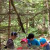 20150601_141412-001