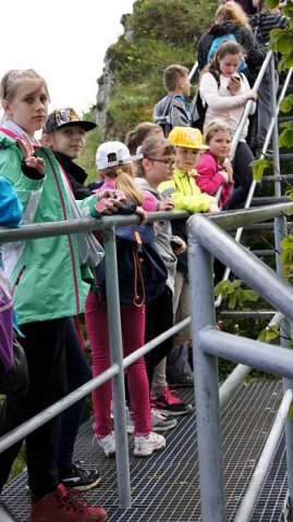 dsc06381