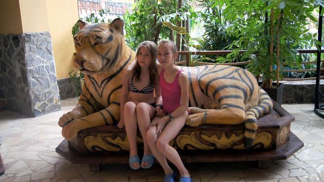dsc06590