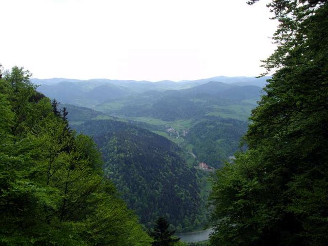 dsc08798
