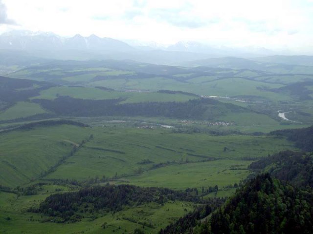 dsc08822