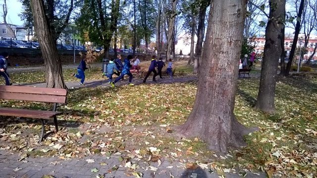 wp_20141104_007