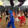 SDC17503